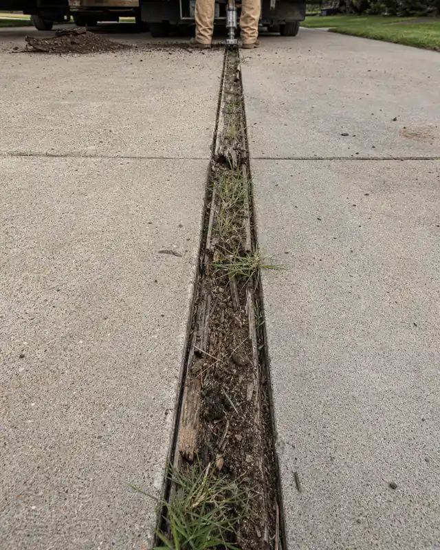 Rotted wood expansion joint in an old concrete driveway in Oklahoma City
